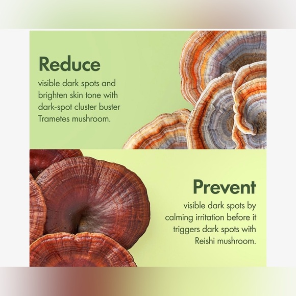 New Origins Mega-Mushroom Dark Spot Brightening Face Serum - Picture 4 of 9